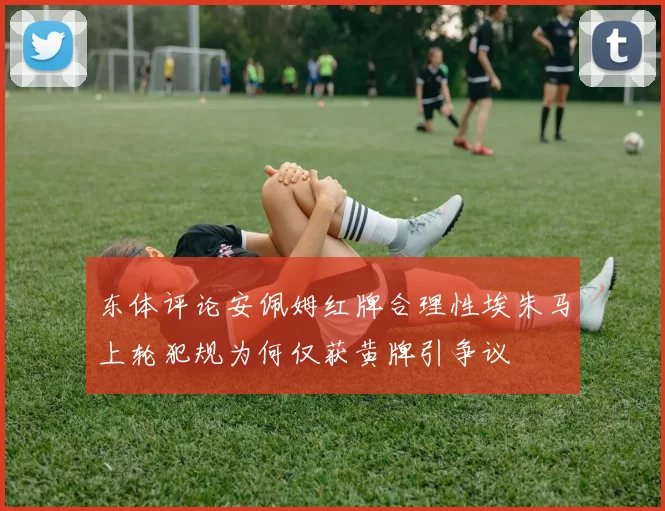 东体评论安佩姆红牌合理性埃朱马上轮犯规为何仅获黄牌引争议