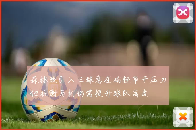 森林狼引入三球意在减轻华子压力但抗衡马刺仍需提升球队高度